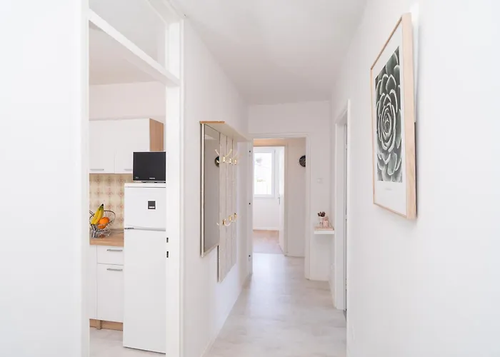 Baselli Ντουμπρόβνικ